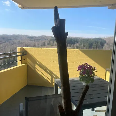 Panorama Mit Brockenblick * Браунлаге